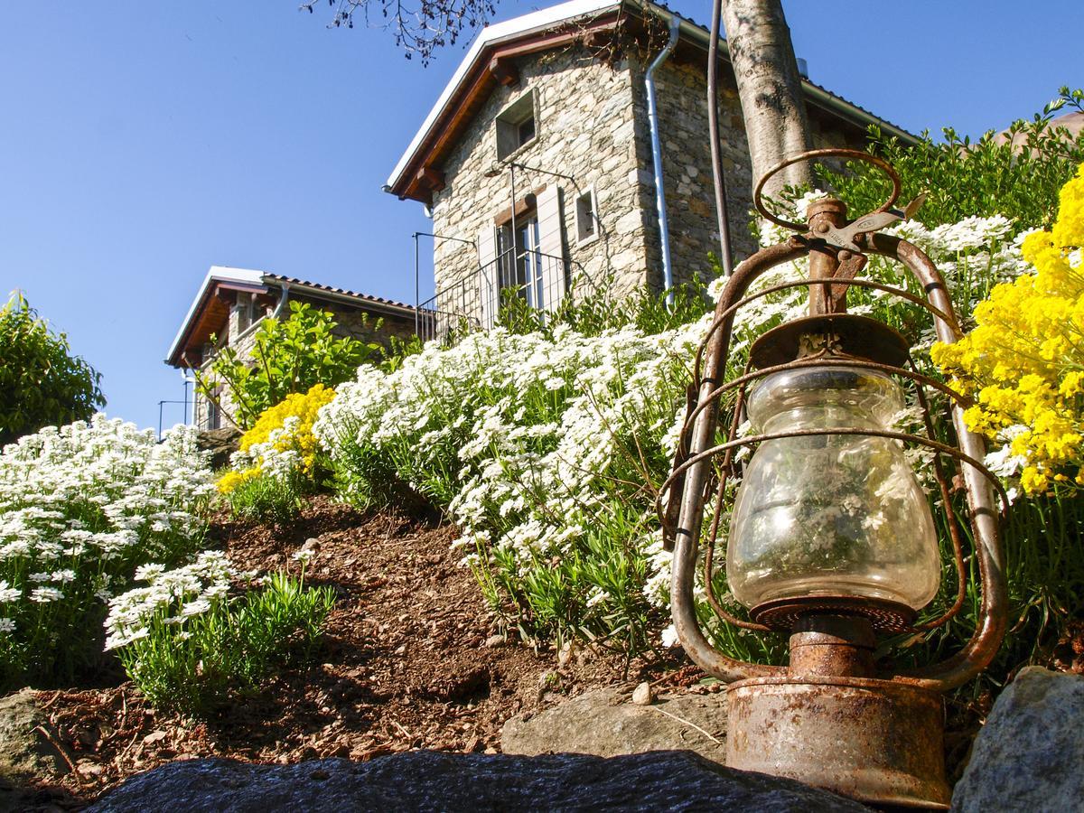 Agriturismo Treterre 피아넬로 델 라리오 외부 사진