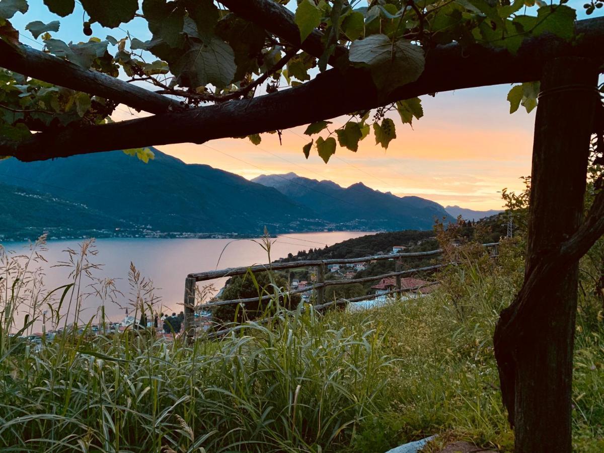Agriturismo Treterre 피아넬로 델 라리오 외부 사진
